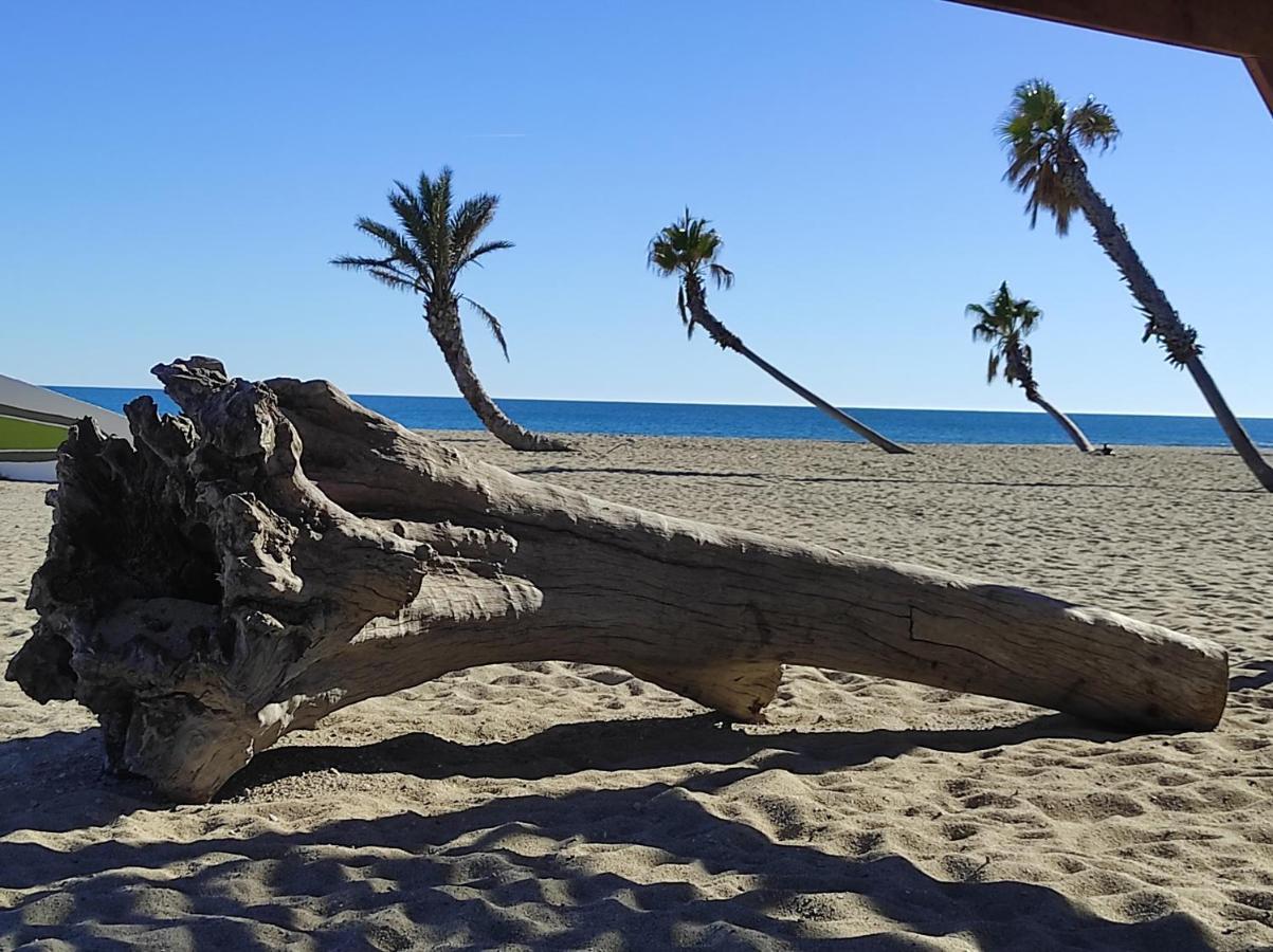 Vue Mer Panoramique Wifi Gratuit Le Barcarès Exteriér fotografie